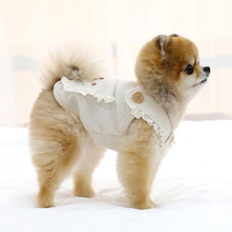 【ITSDOG】りすサスペンダーTシャツ　アイボリー