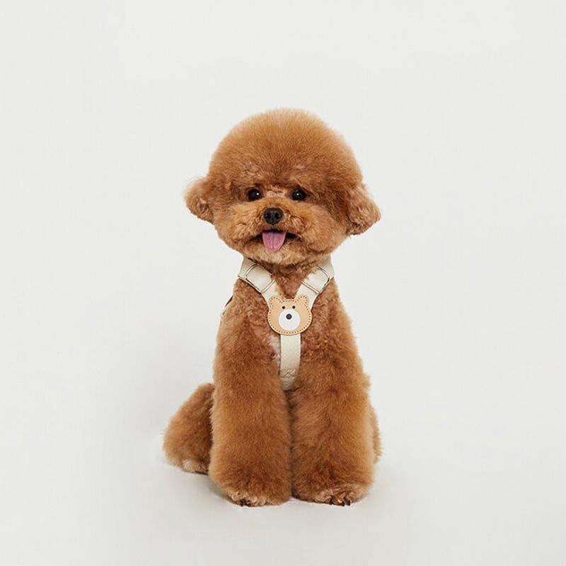 BEARBONG HARNESS 犬用品リードBYBONG XS ハーネス - 犬用品