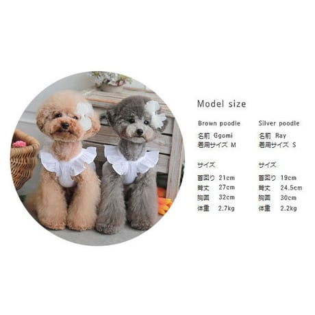 【TOTO&ROY】ウィーリーストライプTシャツ　ベージュ