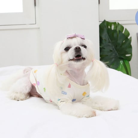 【ITSDOG】オーガニックジェリーベアTシャツ