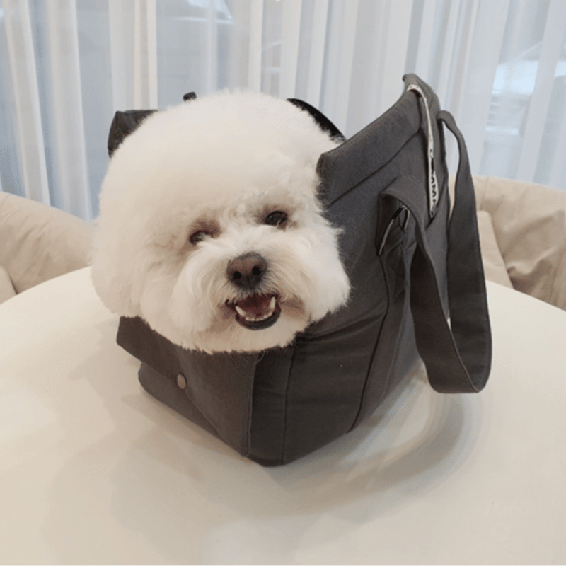 DOUBLE COMMA】COMTWO BAG 6color | Pick me up! DOUBLE COMMA】COMTWO BAG 6color | Pick me up!