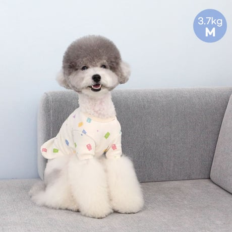 【ITSDOG】オーガニックジェリーベアTシャツ