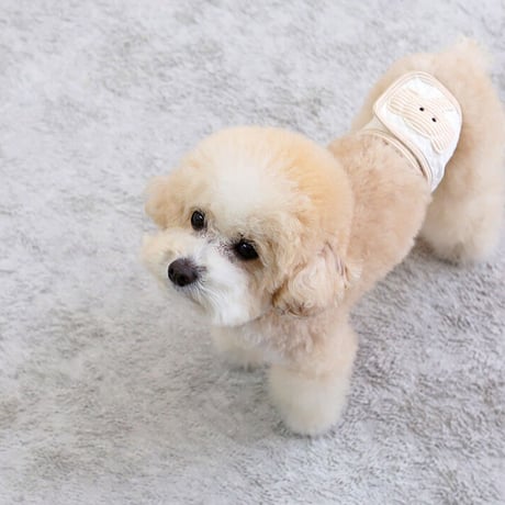 【ITSDOG】オーガニックコットンマナーベルト ゾウ・ブラウン（男の子用）