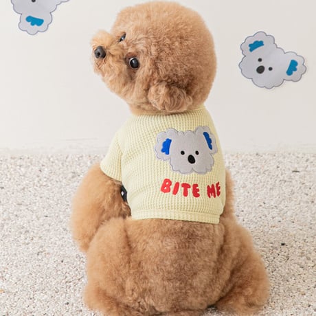 【BITE ME】コアラクロップドTシャツ〈バター〉