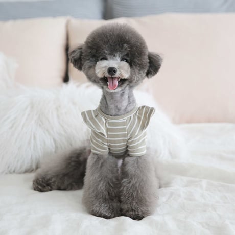 【TOTO&ROY】ウィーリーストライプTシャツ　ベージュ