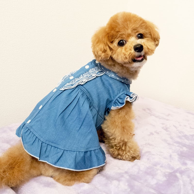 犬服　アメリカン　デニムワンピース　ハートみほん 犬服アメリカンデニムワンピースハートみほん