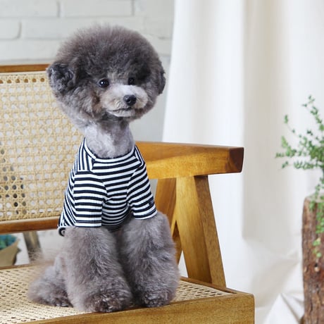 【TOTO&ROY】ポパイストライプ Tシャツ　ブラック
