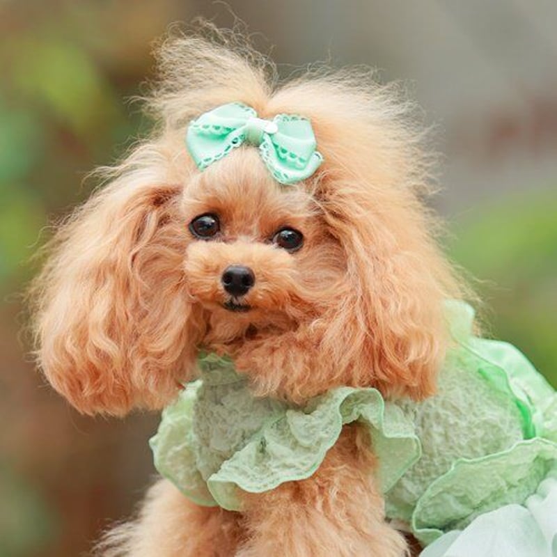 ゴッドピバGODPIVA COOLワンピースバレッタ付