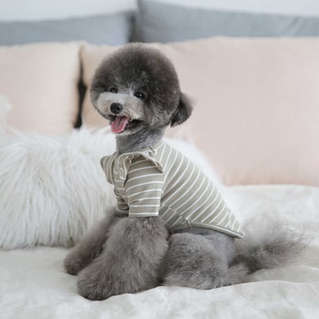 【TOTO&ROY】ウィーリーストライプTシャツ　ベージュ