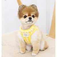 【ITSDOG】ハートチェックハーネス　イエロー