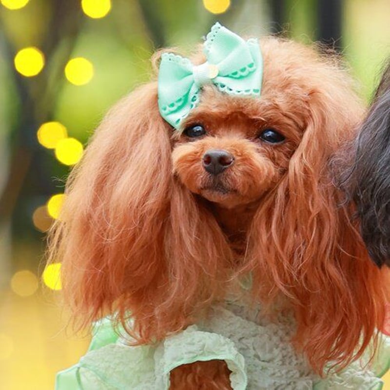 ゴッドピバGODPIVA COOLワンピースバレッタ付