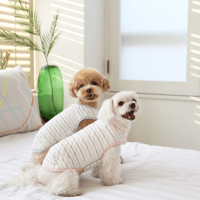 【ITSDOG】オーガニックコットンホームウェア　ピンク