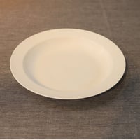 yumiko iihoshi porcelain / sketch 24 plate (b)