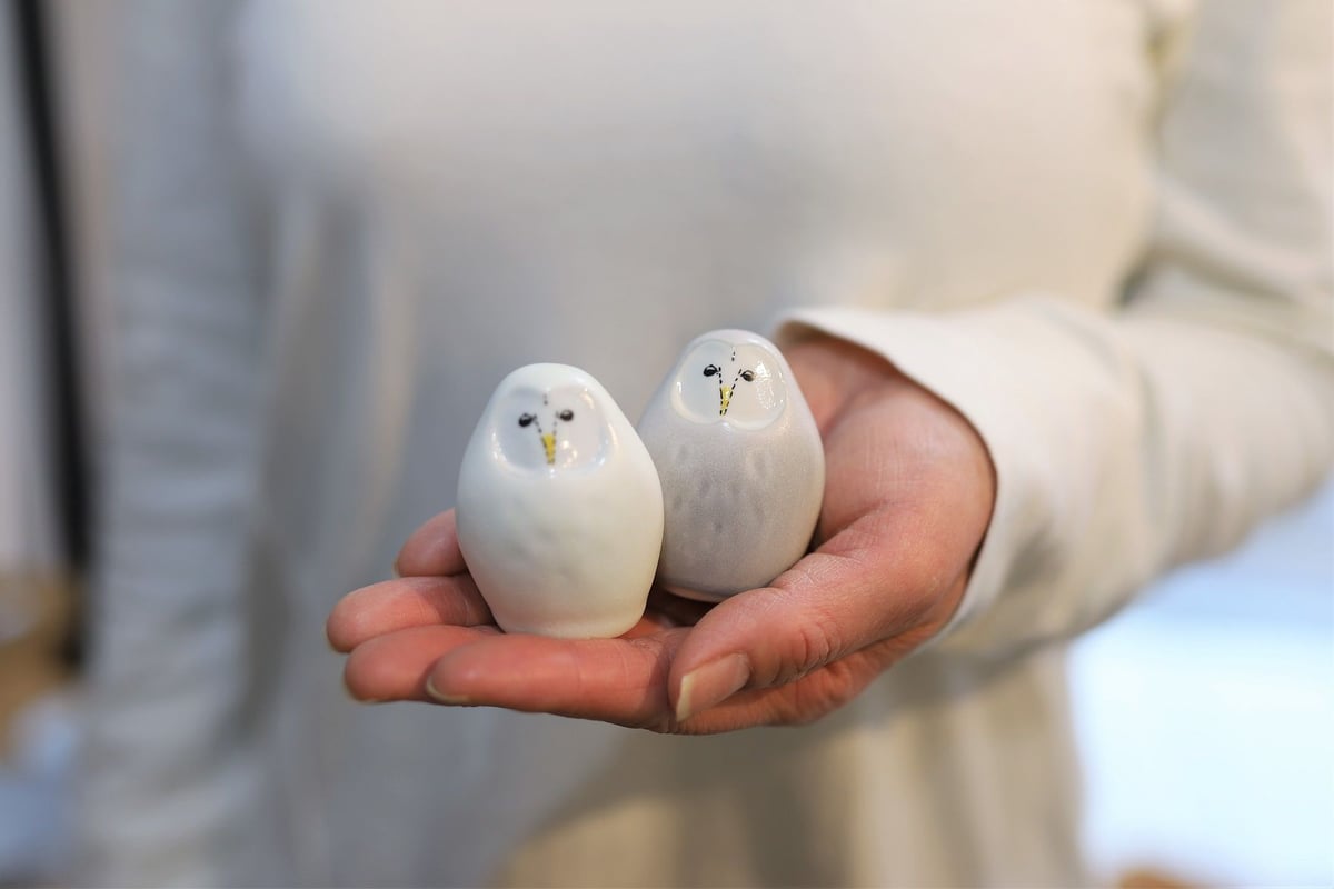 トモタケ　クッション　ふくろうと猫 トモタケ 動物クッション フクロウ - ディベルティーレ