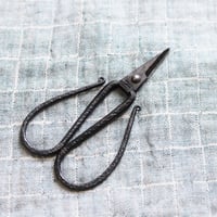 TAjiKA / BRANCH & ROOT SHEARS | mother duck ON
