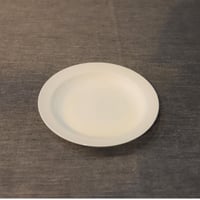 yumiko iihoshi porcelain / with4 gray 24 plate