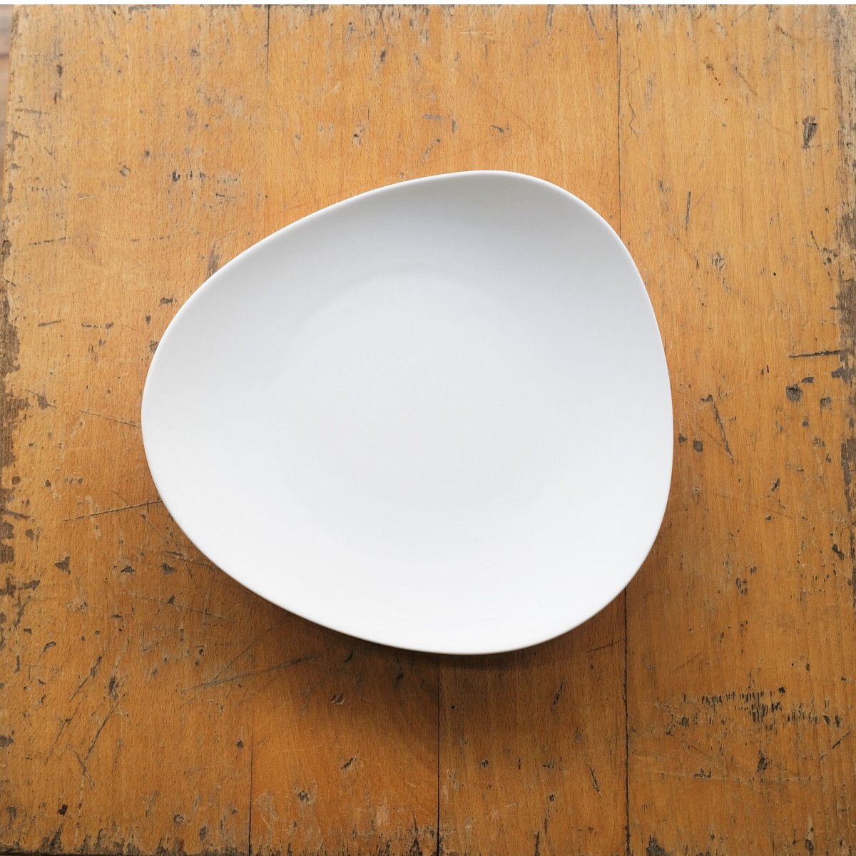 yumiko iihoshi porcelain / SHIONARI plate 195mm