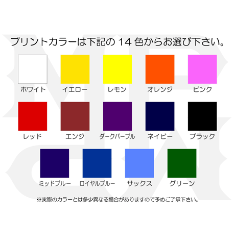 胸マークor背マーク【タイガースＨ型】
