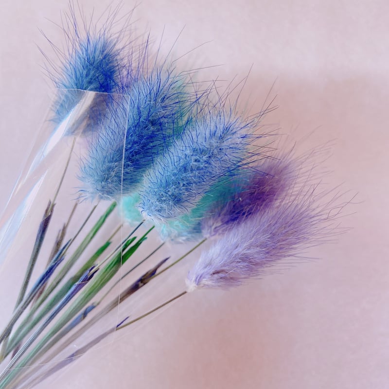 ラグラス | 花工房Field Canvas
