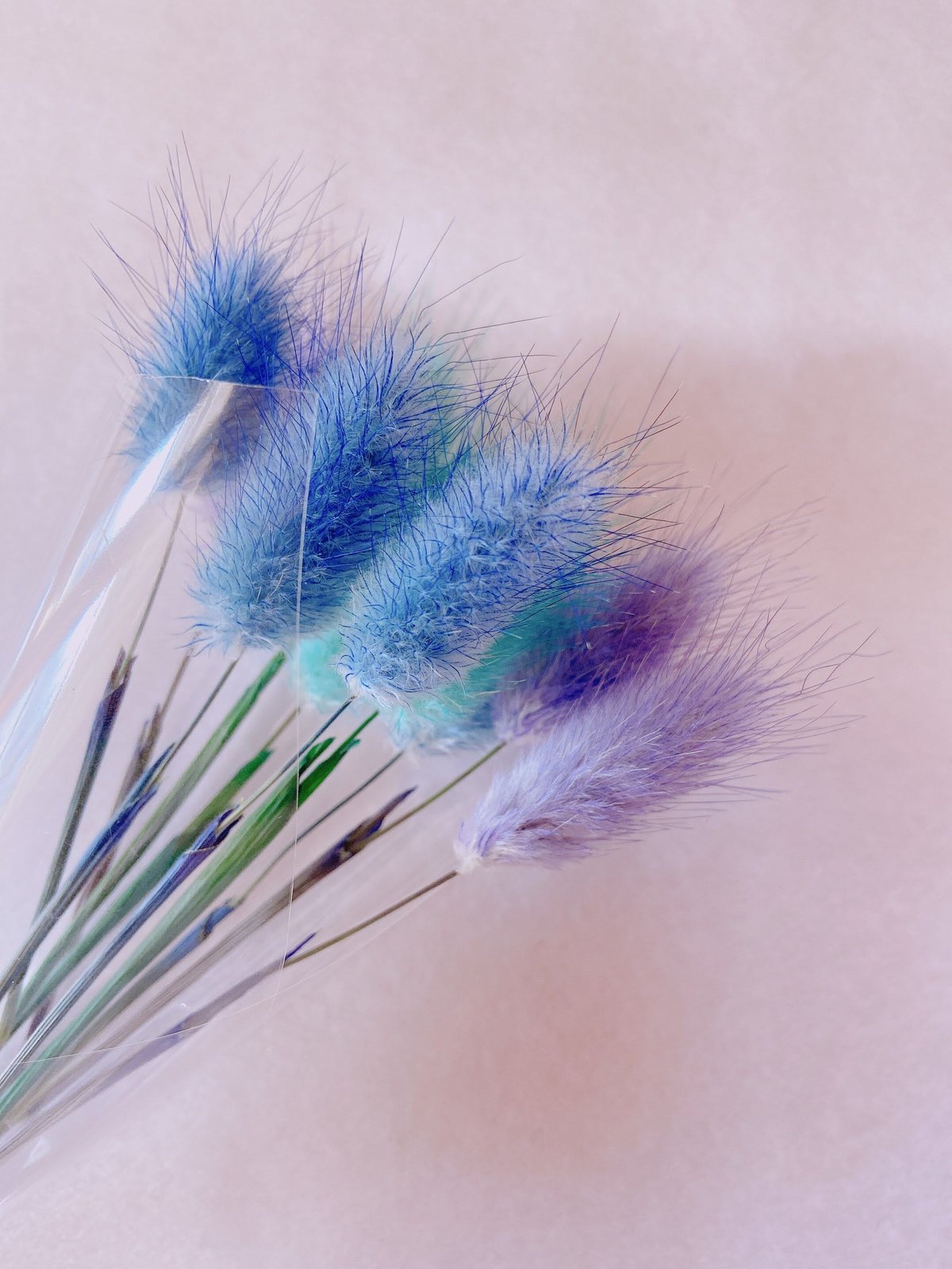 ラグラス | 花工房Field Canvas