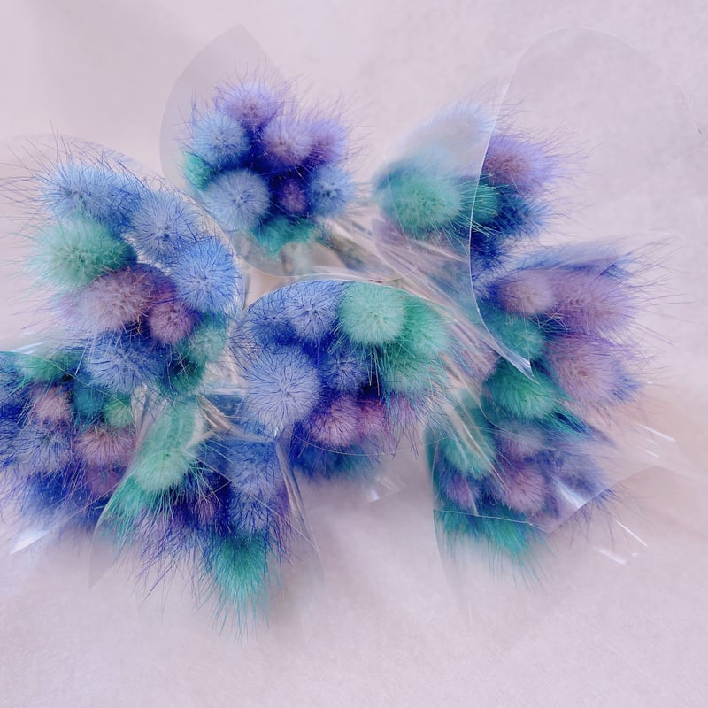 ラグラス | 花工房Field Canvas