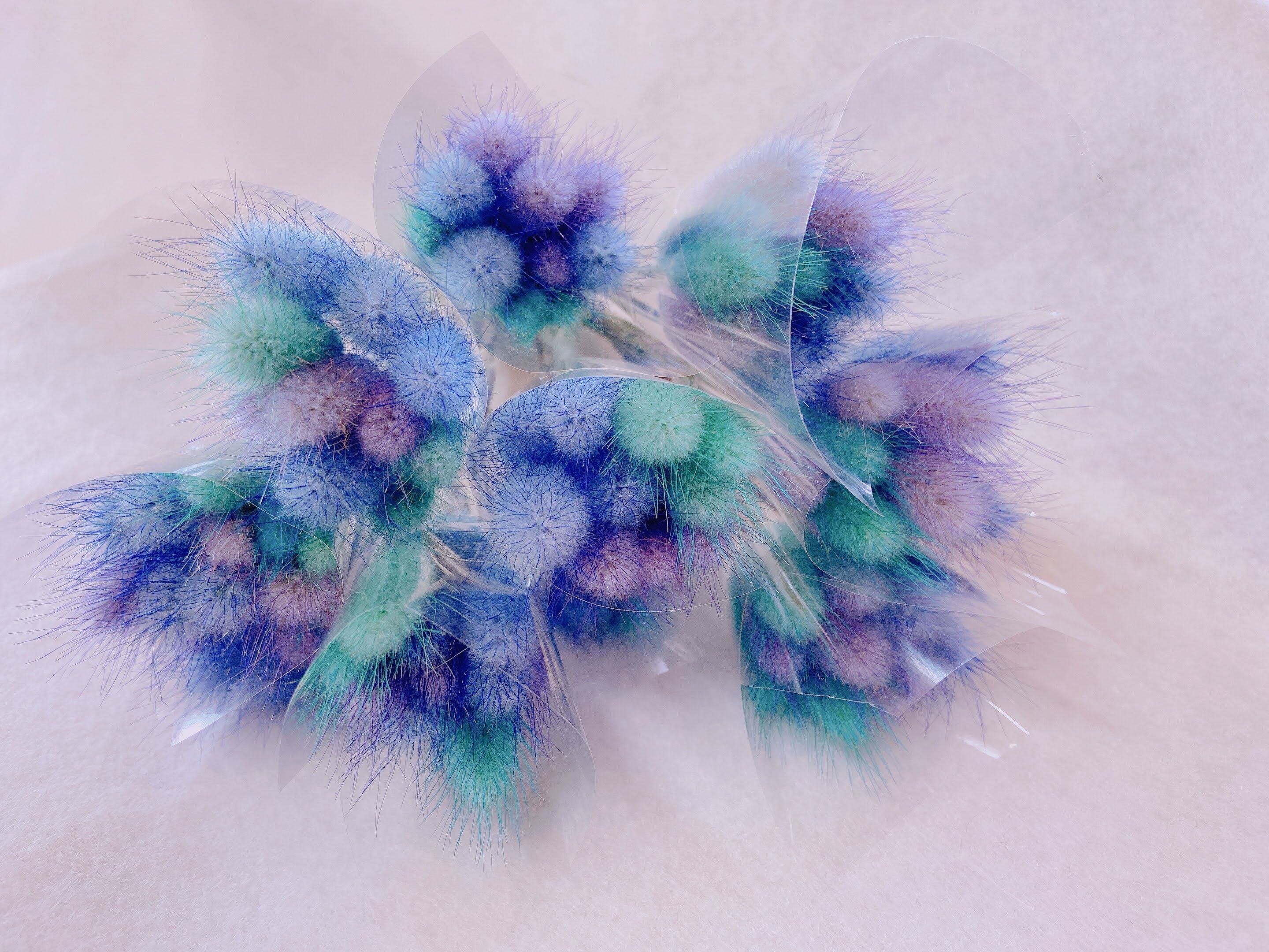 ラグラス | 花工房Field Canvas