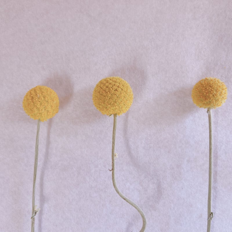 くらすぺ くらげ Buy Kazuki Kuraishi x ZX 750 RG 84-Lab 'Mud' - M25787