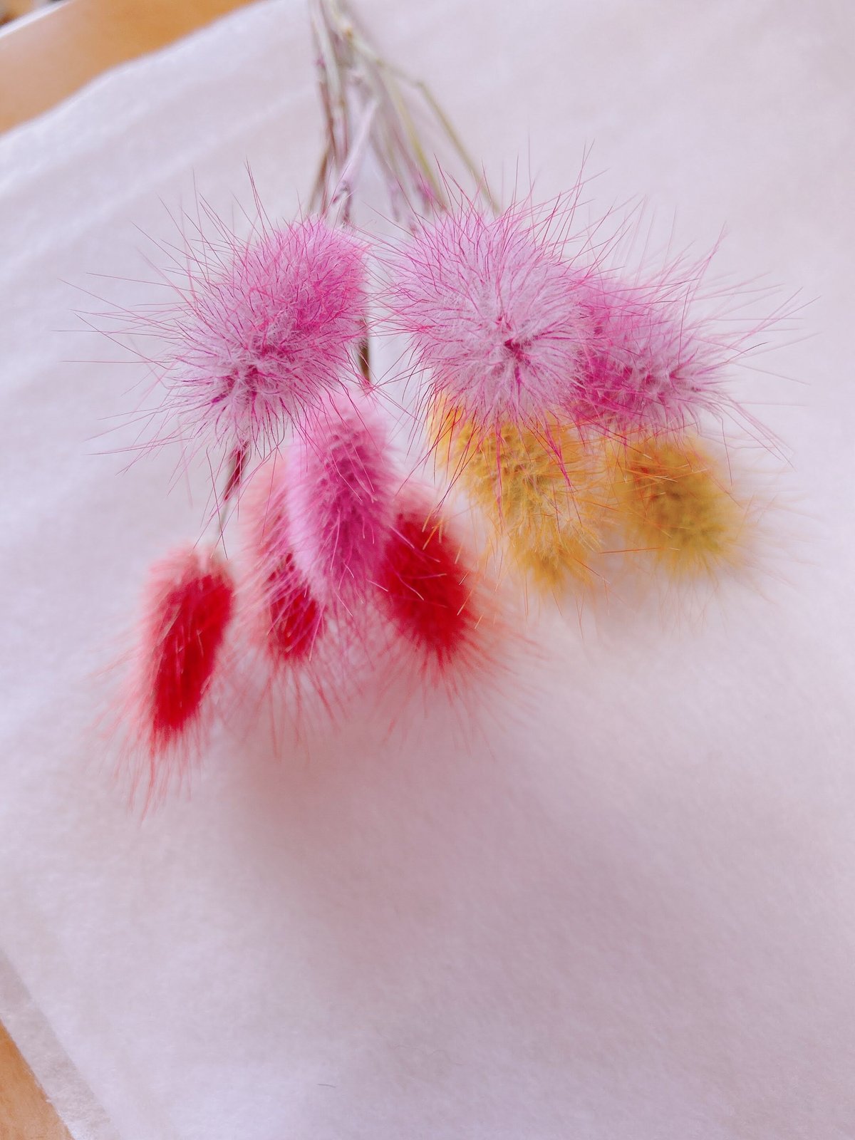 ラグラス | 花工房Field Canvas