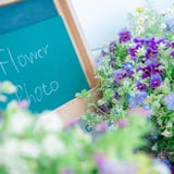 花工房Field Canvas