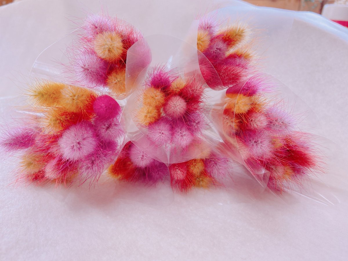 ラグラス | 花工房Field Canvas