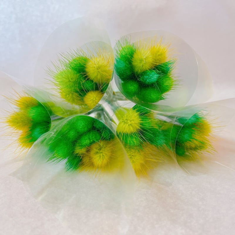 ラグラス | 花工房Field Canvas