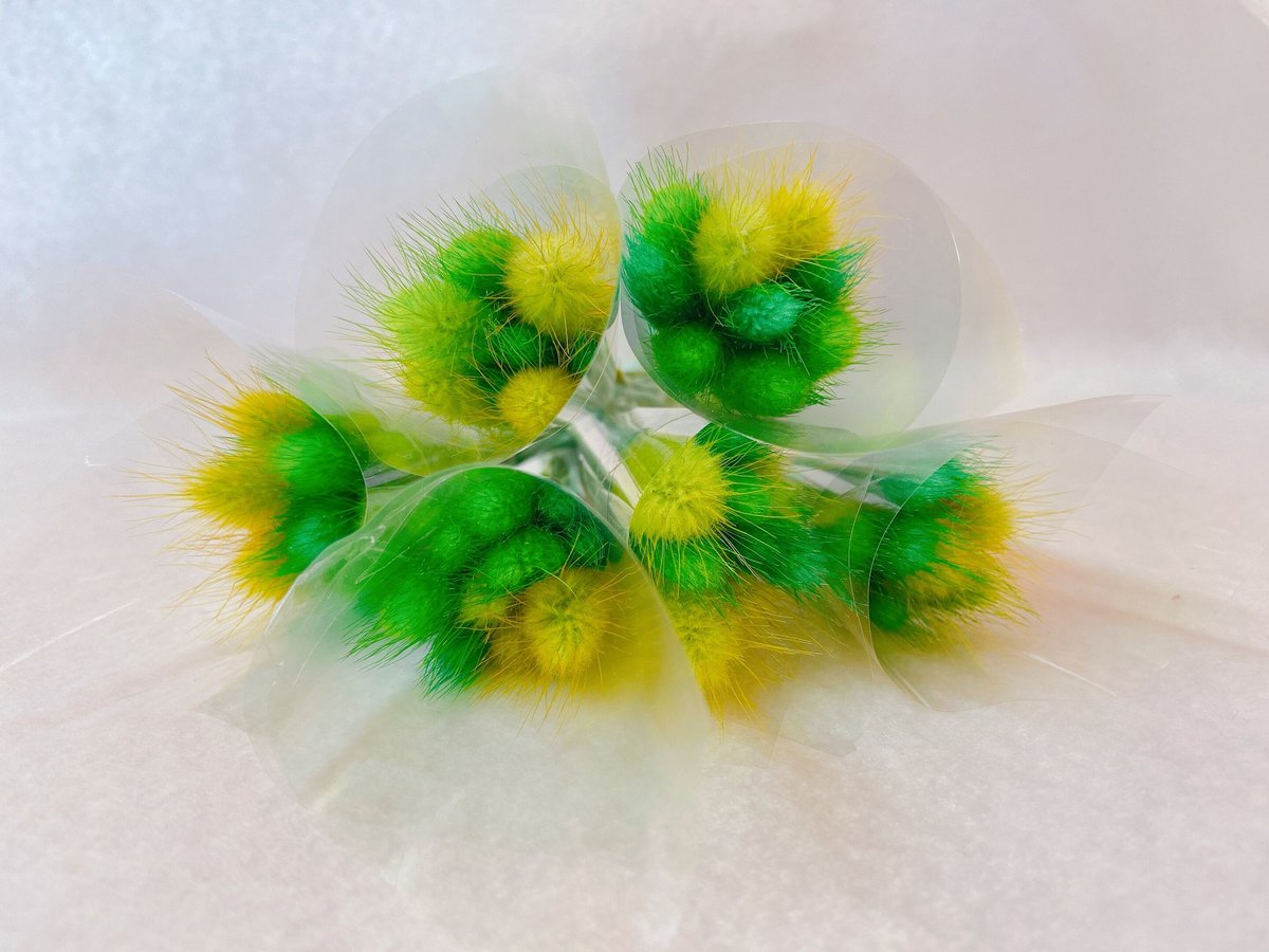 ラグラス | 花工房Field Canvas