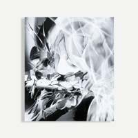 SYURI YOSHIDA / flower and women like 4