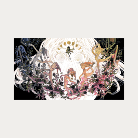 独楽子 / 漆黒の薔薇