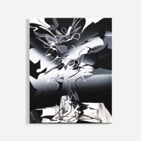 SYURI YOSHIDA / flower like 1