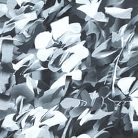 【KOBE ART MARCHE 2026】SYURI YOSHIDA / Flower_overwrite drawing ＃4