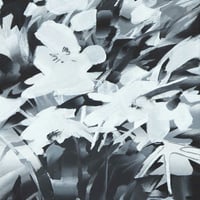 【KOBE ART MARCHE 2026】SYURI YOSHIDA / Flower_overwrite drawing ＃10