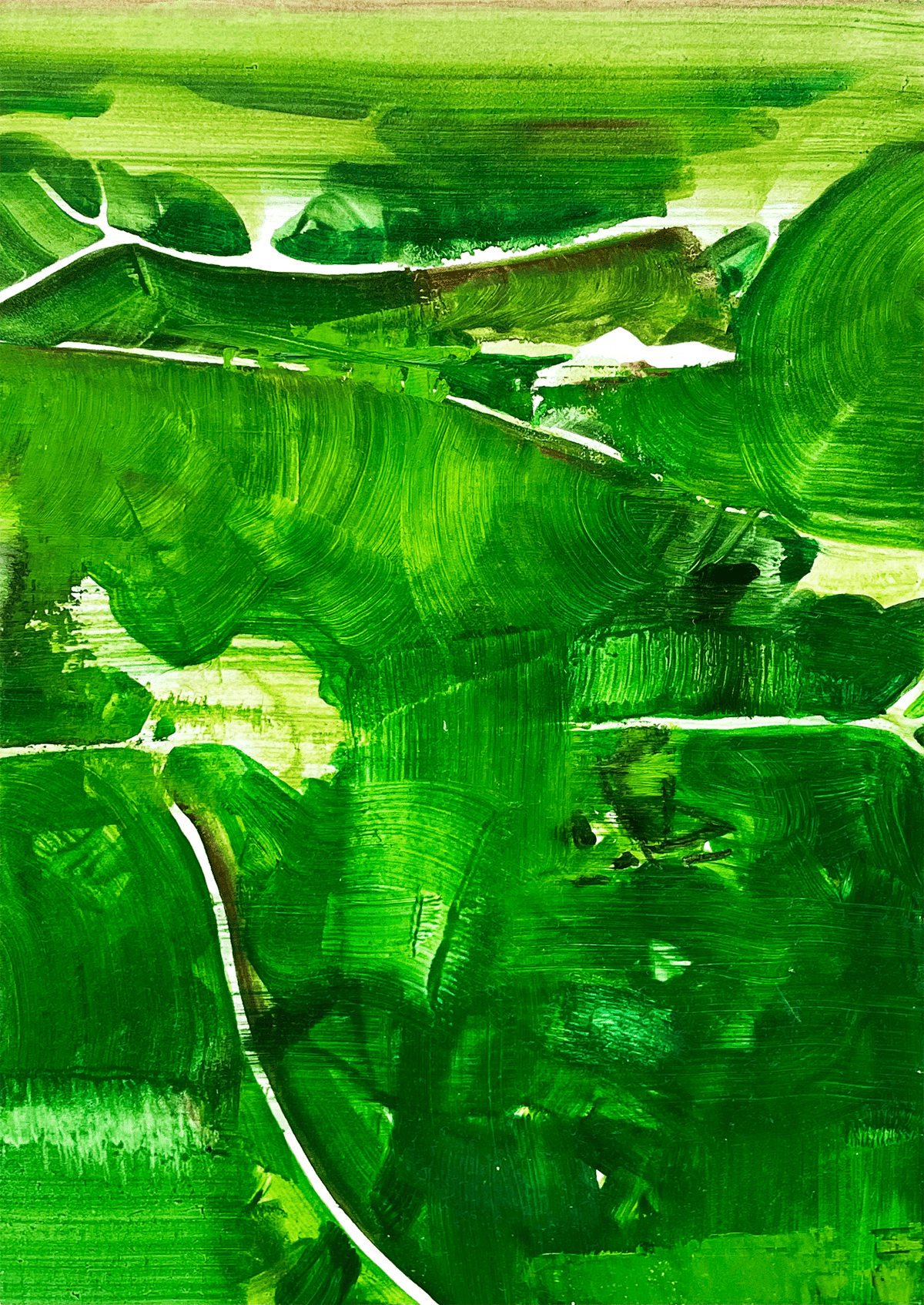 渡邊千尋 / Soil | Artas Gallery