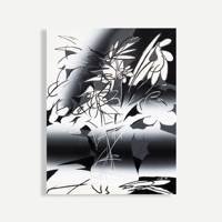 SYURI YOSHIDA / flower like 2