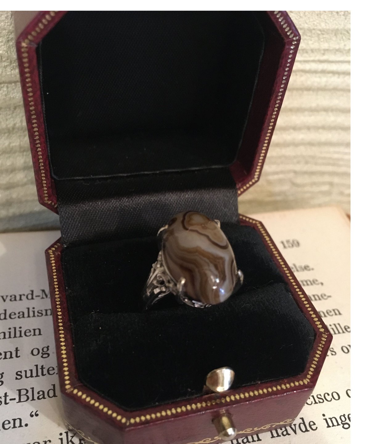 石のうえの静物 石のうえの静物 石のうえの静物 石 | ToMuCo - Tokyo