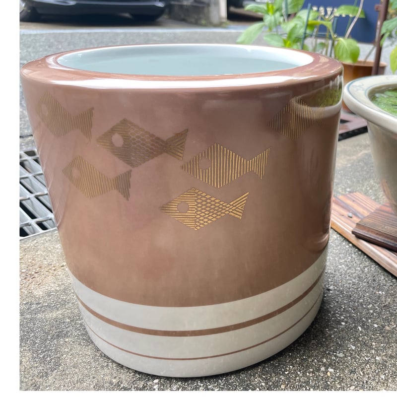 ノリタケ 火鉢 魚文様 (則武刻印) 昭和30年頃 | れいゆぅる rayures