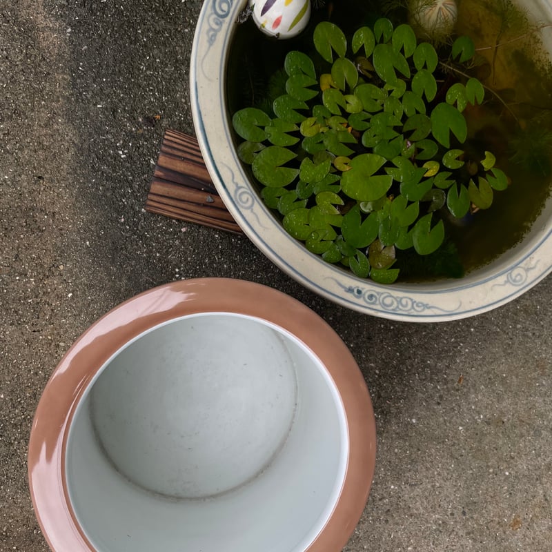 林直三筆 帆船 オールドノリタケ 飾皿 やじろべ印(高級品) 1912〜40年