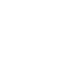 Leo_Akanishi.official.store
