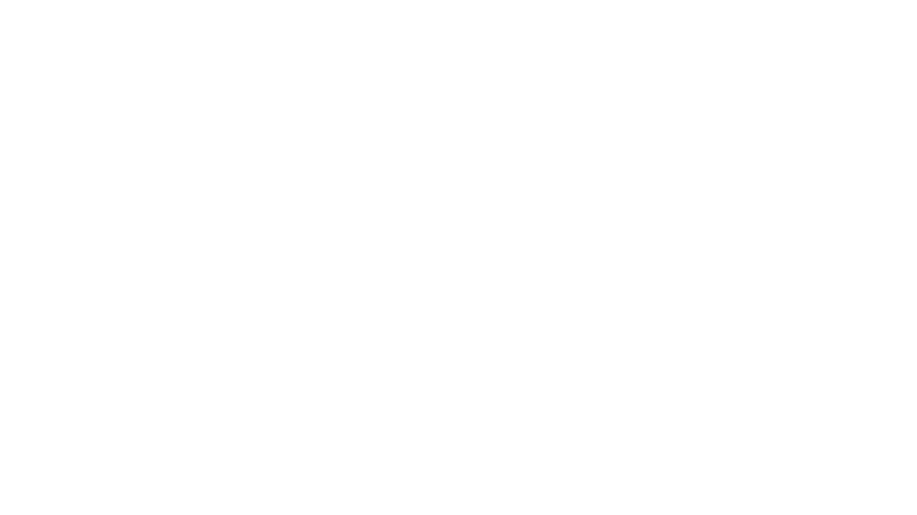 Leo_Akanishi.official.store