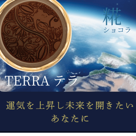 TERRA 糀ショコラ ヴィーガン生チョコレート