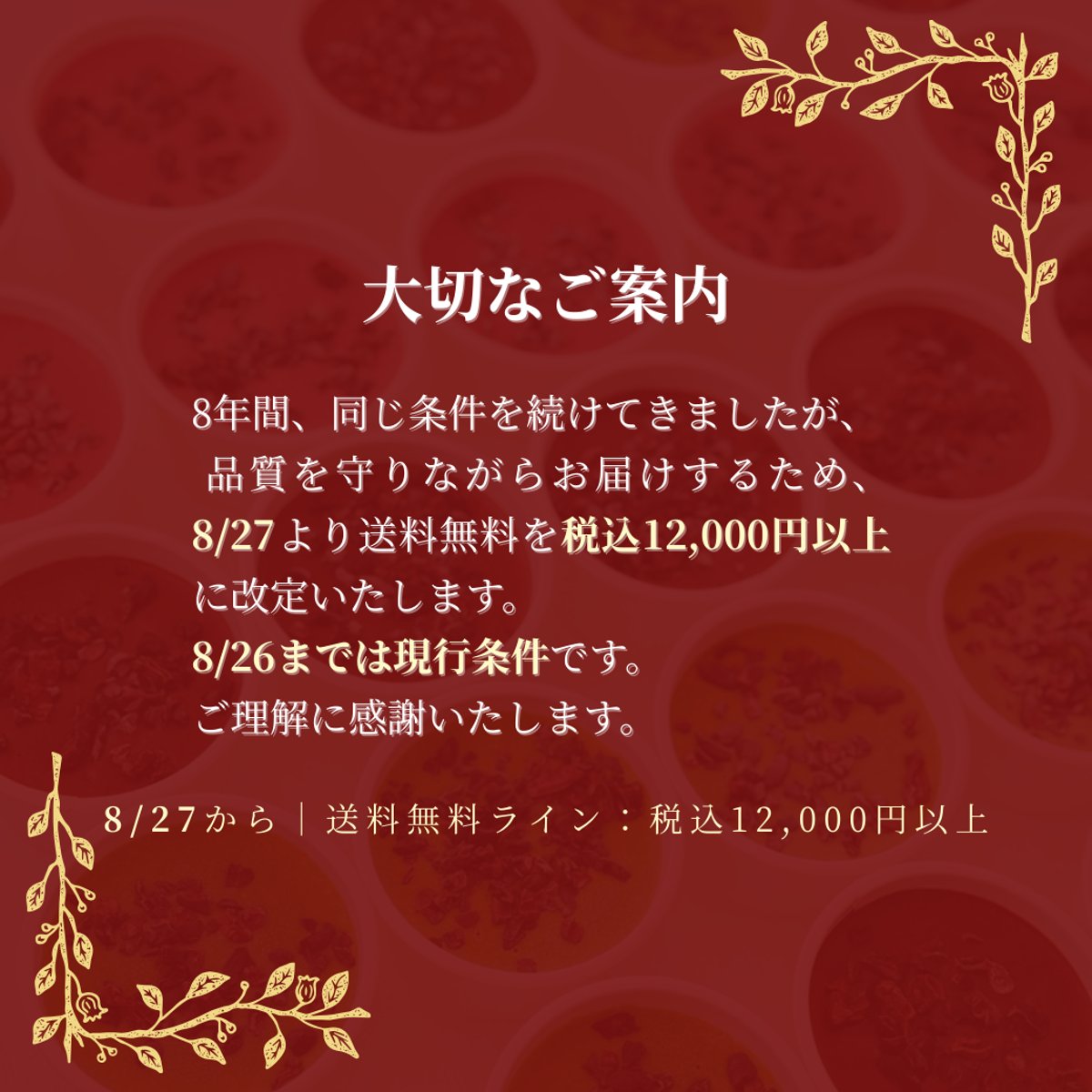 choco　同時梱包割引 チュベ・ド・ショコラ チョコレート ギフト 【割れチョコギフト