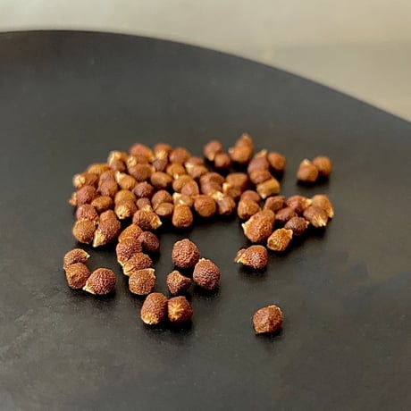 【うちのカレーが一気に本格的になる】竹中粉