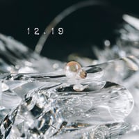 12月19日【365日金魚真珠】