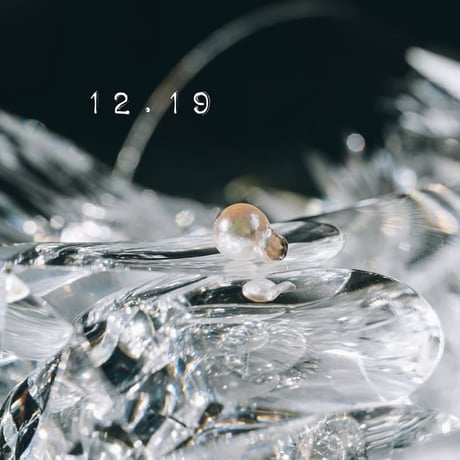 12月19日【365日金魚真珠】
