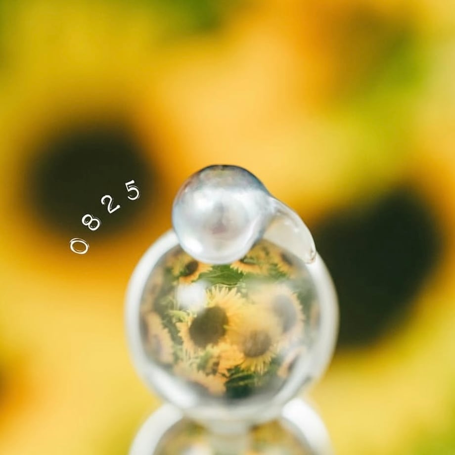 6850c4b881861311353364b5